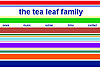 tleaf.net icon