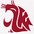 WSU university